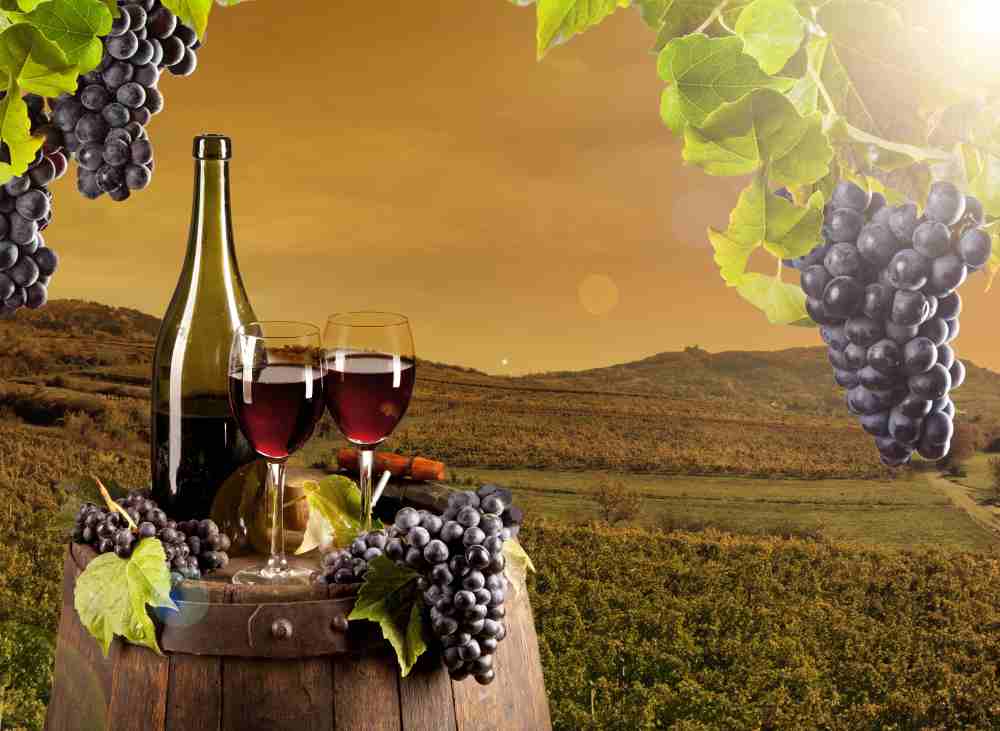 2022 Schwarzriesling